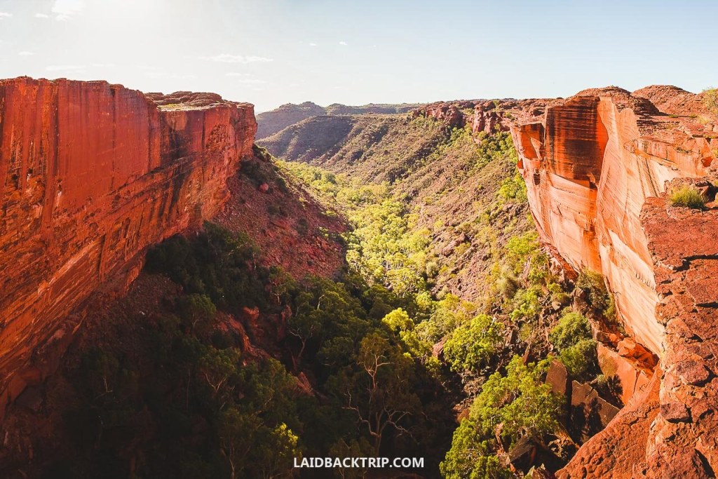 Picture of: Kings Canyon, Australia: Rim Walk Guide — LAIDBACK TRIP