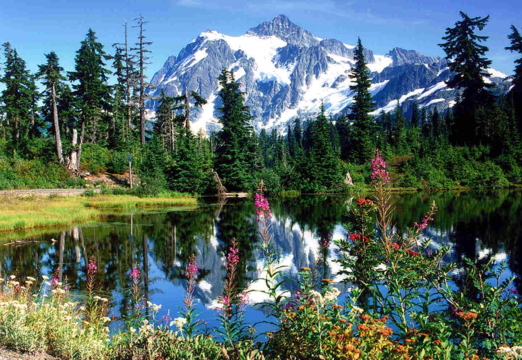Picture of: Weekend Getaways in Washington State Surrounded By Nature
